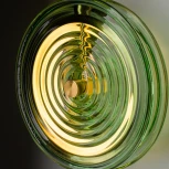 Настенный светильник Freya Borbon FR5442WL-L7GN (LED, 220V)