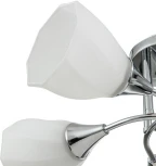 Потолочная люстра на штанге Escada Camellia 664/5P (220V)