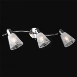 Спот Eurosvet Organic 20053/3 хром