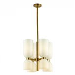 Потолочная люстра Odeon Light Orinoco 4798/8