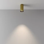 Потолочный светильник Maytoni Focus Led C056CL-L12W4K-W-BS (220V, круглые)