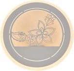 Настенный светильник Мелодия Света WA1L 000022098