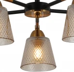 Потолочная люстра на штанге ILLUMICO IL8226-5COU-79 BK GD