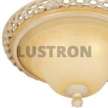 Потолочный светильник круглый Wertmark Adora WE342.03.027 (220V)