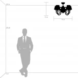 Потолочная люстра Lightstar Otto 809056