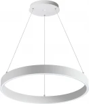 Подвесной светильник Novotech Iter 358960 (LED, 220V, пульт управления, на тросе, кольцо)