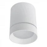 Накладной точечный светильник Arte Lamp Elle A1909PL-1WH (LED, 220V)
