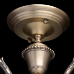 Потолочная люстра MW-Light Ариадна 450011503
