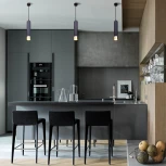 Подвесной светильник Eurosvet DLN106/DLN107 DLN107 GU10 черный/золото (220V, на проводе, круглые)