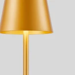 Настольная лампа с аккумулятором F-Promo Pyari 4616-1T (LED, 220V)