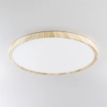 Настенно-потолочный светильник Citilux Бейсик CL738322V (регулировка яркости, LED, 220V, круглые, IP40)