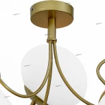 Потолочная люстра ST Luce Acini SL717.202.03