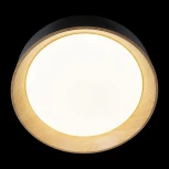 Потолочный светильник круглый Coin 10202 Black Loft It (LED, 220V, круглые)