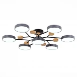 Потолочная люстра на штанге Evoluce Faema SLE6006-702-07