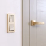 Рамка на 2 поста Platinum (шампань) Werkel W0022611 (a059214)