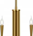 Потолочная люстра на штанге Freya Branches FR5253PL-08BS (220V)