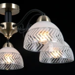 Потолочная люстра на штанге ILLUMICO IL0435-5CSQ-24 BK AB SPICA