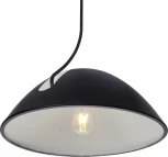 Подвесной светильник Zortes Korkee ZRS.1802.50 (220V, IP21)