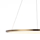 Подвесной светильник Loft IT Ring 10014L (LED, 220V, на тросе, кольцо)