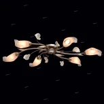 Потолочная люстра MW-Light Восторг 242016306