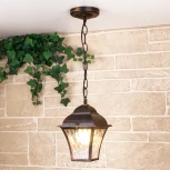 Уличный подвесной светильник 1009H Elektrostandard Apus GL a043115 (220V, на цепи, IP33)