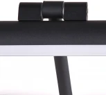 Подсветка для картин Arte Lamp Harrison A1709AP-1BK (LED, 220V, выключатель)