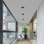 Потолочный светильник уличный Favourite Fantum 4669-1U (220V, круглые, IP54)