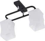 Потолочная люстра на штанге Reluce 06595-0.3-02 (220V)