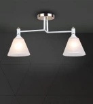 Потолочная люстра Wedo Light Anneta WD3619/2C-WT-FGD-WT