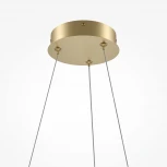 Подвесной светильник Maytoni Curve MOD241PL-L60BSK (LED, 220V, на тросе)