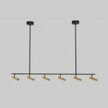 Спот на штанге Eurosvet Barre 20252/6 LED черный/латунь (220V, пульт управления)