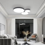 Потолочный светильник круглый Eurosvet Entire 90320/1 серый (регулировка яркости, LED, 220V, пульт управления, круглые)