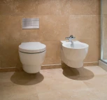 Унитаз подвесной Jacob Delafon Ove E1585