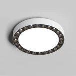 Потолочный светильник круглый Denkirs Dual DK2841-WB (LED, 220V, круглые)