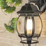 Настенный фонарь уличный Elektrostandard Farola GL 1001D черное золото