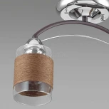 Потолочная люстра Lumion Filla 3030/2C