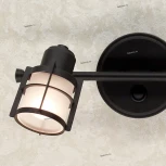 Спот Citilux Реймс CL563521