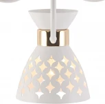 Потолочная люстра Reluce 01579-3.3-05 WH+FGD (220V)