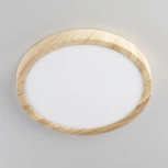 Настенно-потолочный светильник Citilux Бейсик CL738182V (регулировка яркости, LED, 220V, круглые, IP40)