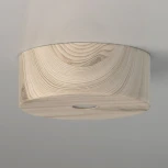 Потолочный светильник DeMarkt Иланг 712010601