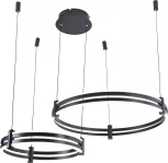 Подвесной светильник Zortes DUBLE-R ZRS.27510.02 (LED, 220V, на тросе, кольцо, IP21)