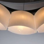 Подвесной светильник Lightstar Nibbler 812186 (220V, на тросе, цветы)