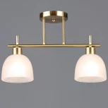 Потолочная люстра на штанге Reluce 06417-0.3-02 COP (220V)