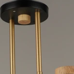 Потолочная люстра на штанге Reluce 04627-0.3-02 (220V)