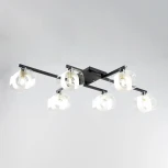 Потолочная люстра Вирта CL139165 Citilux (220V)