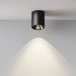 Накладной потолочный светильник Maytoni Alfa LED C064CL-12W4K-RD-B