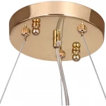 Подвесная люстра Favourite Ultra 1600-13P