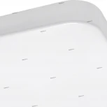 Потолочный светильник Lightstar Arco 226202 (LED, 220V, IP44)