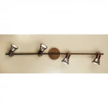 Спот Citilux Винон CL519544