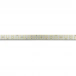 Светодиодная лента трехрядная 31Вт/м 24В 3м LEDS POWER ПРО200 009087